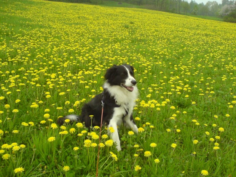 Wiosna to fajna pora roku